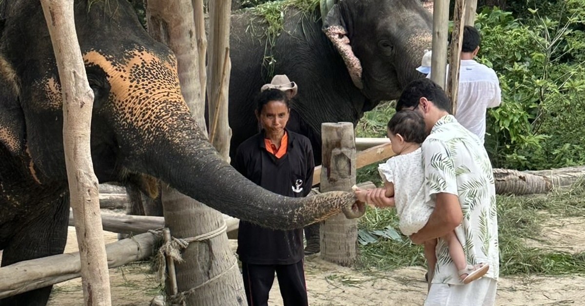 Family feeding an elephant